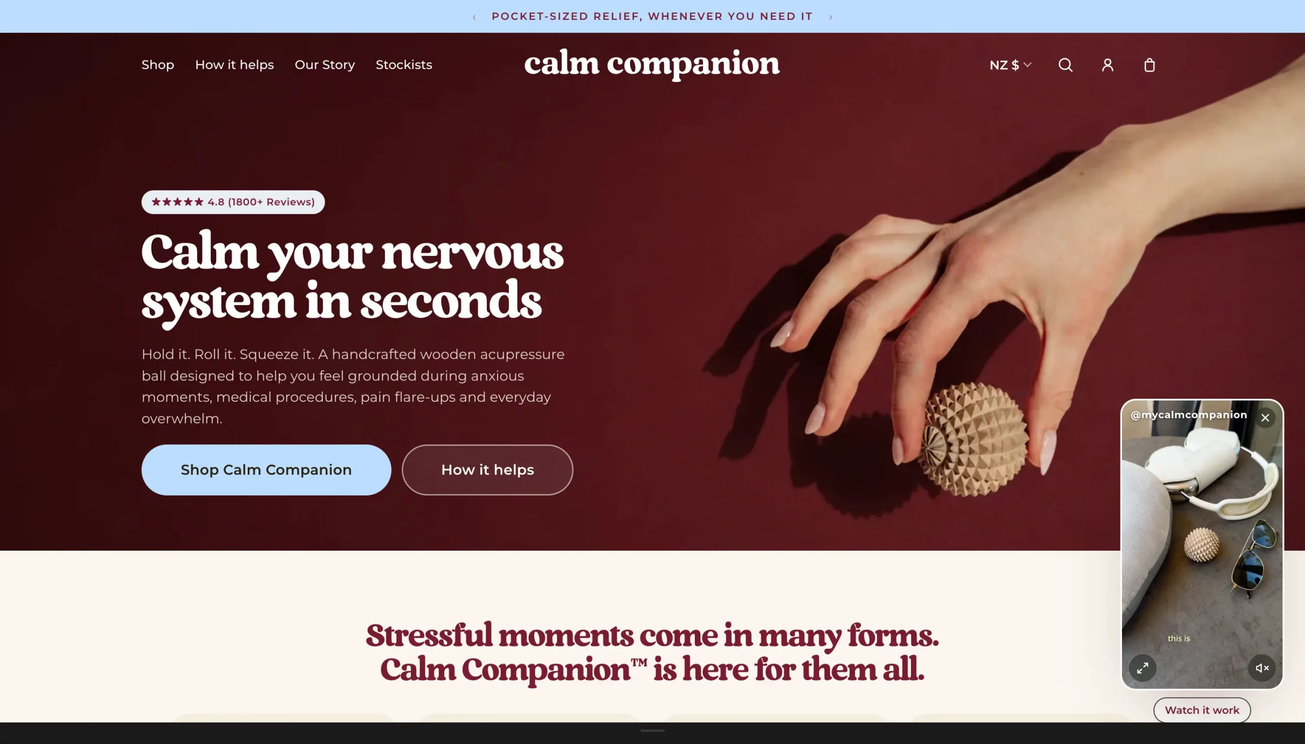 Calm Companion homepage, built on the Pique theme